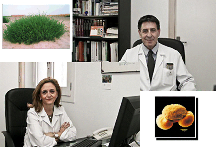 Diagnóstico y Tratamiento de alergología - Dra. Zapata y Dr. Pola